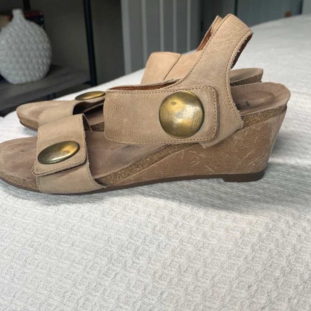 Taos Footwear inch wedge